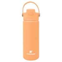 Hydraflow Peach Hybrid Insulated Flip Straw Bottle, 17oz