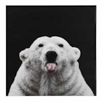 Polar Bear Canvas Wall Art, 16"