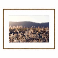 Framed Field Wall Art, 22x30