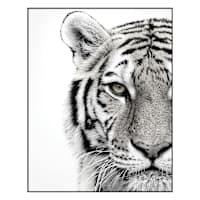 Glass Tiger Print Wall Art, 22x28