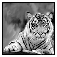 Glass Framed Tiger Print Wall Art, 27"