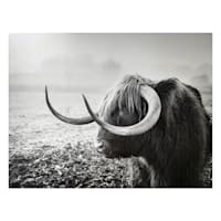 40X30 Midnight Farm Canvas Wall Art