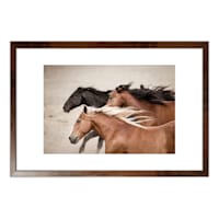26x38 Brown Running Wild Horses Framed Art Under Glass