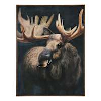 Framed Moose Canvas, 30x40