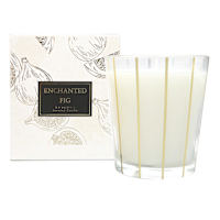 Enchanted Fig Scented Jar Candle, 8.6oz