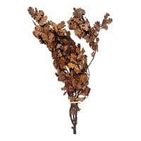 Dried Dark Brown Oak Leaves Bundle, 28"