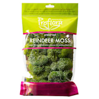 Glittered Apple Green Reindeer Moss
