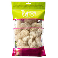 Glittered White Reindeer Moss