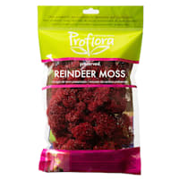 Glittered Red Reindeer Moss