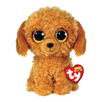 Noodles - Golden Doodle Reg