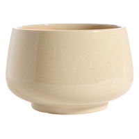 Honeybloom Indoor Ivy Beige Ceramic Planter, Large