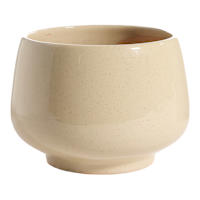 Honeybloom Indoor Ivy Beige Ceramic Planter, Medium