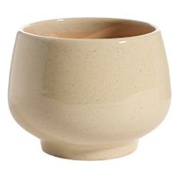 Honeybloom Indoor Ivy Beige Ceramic Planter, Small