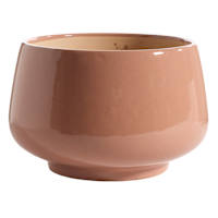 Honeybloom Indoor Ivy Clay Ceramic Planter, 10"