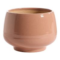 Honeybloom Indoor Ivy Clay Ceramic Planter, Medium