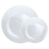 20Pk Hammered Plate Combo Pack - Clear