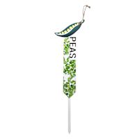 18IN Peas Stake