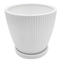 Sunny Club Indoor White Ribbed Planter, 6"