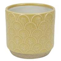Honeybloom Indoor Aster Yellow Flower Planter, 4"