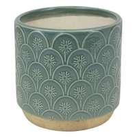 Honeybloom Indoor Aster Green Flower Planter, 4"