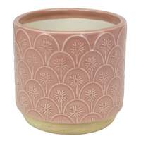 Honeybloom Indoor Aster Pink Flower Planter, 4"