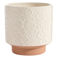 Honeybloom Indoor Cassia White Flower Planter, 7"