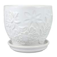 Indoor Rose Flora Planter with Saucer, 6"
