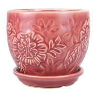 Indoor Rose Flora Planter with Saucer, 4"