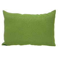 Lime Canvas Lumbar Outdoor Throw Pillow, 14x20