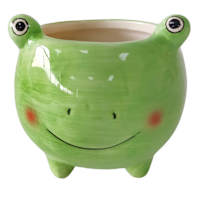Indoor Frog Ceramic Planter, 3"