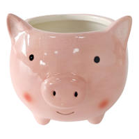 Indoor Pig Ceramic Planter, 3"