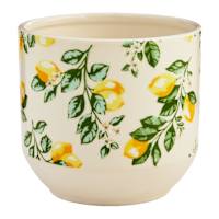 Providence Indoor Lemon Planter, 6"