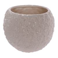 Providence Indoor White Hydrangea Planter, 6"