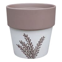 Indoor Vines Terra Planter, 5"