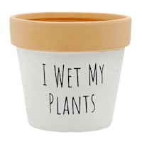 Indoor Wet My Plants Ceramic Planter, 5"