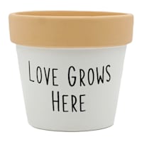 Indoor Love Grows Here Ceramic Planter, 5"