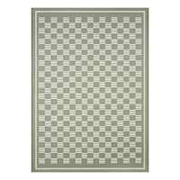 (E536) Honeybloom Green Checkerboard Area Rug, 5x7