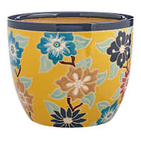 Indoor Amaryllis Planter, Large