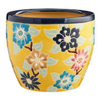 Indoor Amaryllis Planter, Medium