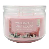 Watermelon Mint Mojito Scented Jar Candle, 11oz