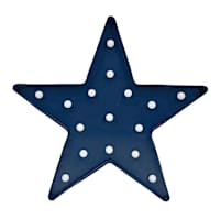 15in LED Blue Star