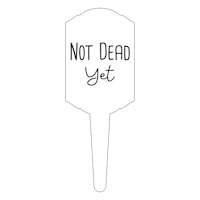 6in Not Dead Yet Pick