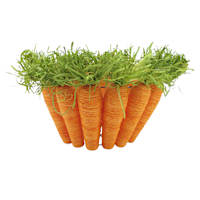 Homespun Easter Carrot Basket, 11"