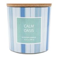 Calm Oasis Scented Jar Candle, 13.4oz