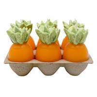Homespun Easter 6-Pack Carrot Votive Candles