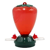 Plastic Hummingbird Feeder, 7"