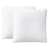 Crosby St. 2-Pack White Blue Washed Microfiber Pillows, 24"