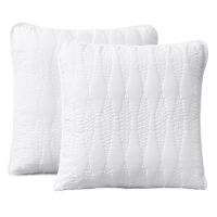Providence 2-Pack White Embroidered Washed Microfiber Throw Pillows, 18"
