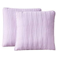 Providence 2-Pack Purple Embroidered Washed Microfiber Throw Pillows, 18"