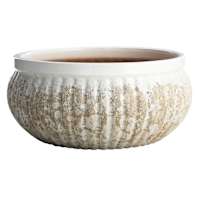 Found & Fable Abasi Outdoor Planter, Large